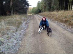 The Paw Explorers Shipley West Yorkshire Logo 