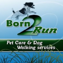 Born 2 Run Pet Care Barnard Castle Durham Logo 