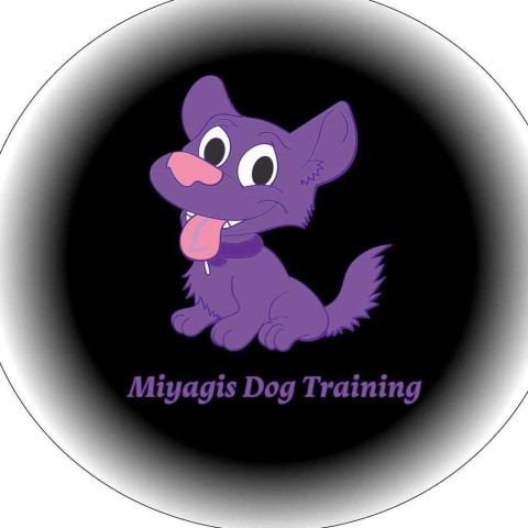 Miyagis Dog Training