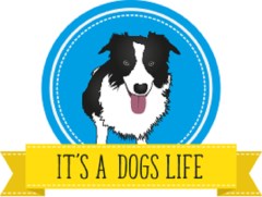 Itsadogslife Glasgow Lanarkshire Logo 