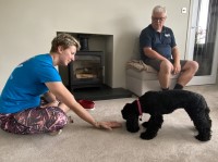 Happy Dog Happy Life Dog Walker Newton Abbot Newton Abbot Devon Logo 