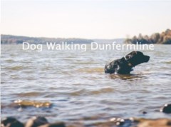 Dog Walking Dunfermline Dunfermline Fife Logo 