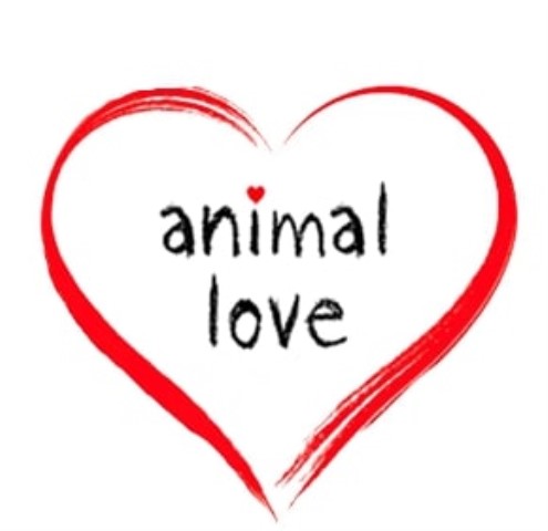 Animal Love Pet First Aid