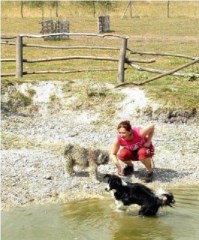 Agnes' Pet Sitting Services Oldbury West Midlands Logo 