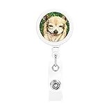 Chihuahua Dog Retractable Badge Holder, Alligator Clip Key Ring, Suitable for Offices, Schools, Hospitals