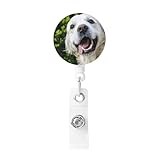 Funny Golden Retriever Printed Retractable Badge Holders with Key Ring Badge Reel Badge Clip Id Card Holders for Work Office Doctor Employee
