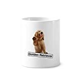 Golden Retriever Pet Pose Toothbrush Pen Holder Mug Cerac Stand Pencil Cup
