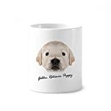 DIYthinker Trained Golden Retriever Puppy Dog Animal Ceramic Toothbrush Pen Holder Mug White Cup 350ml Gift 9.6cm high x 8.2cm Diameter