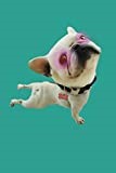French Bulldog Yoga: Blank Lined Notebook, Journal or Diary