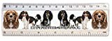 KAZMUGZ CAVALIER KING CHARLES Spaniel Design gift ruler. 15cm / 6 inch ruler. Back To School Gift Ruler. Doggy Decorated Measuring Tool.