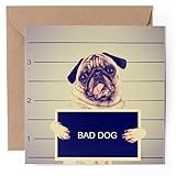1 x Greeting Card - Funny Pug Dog Convict Mug Shot - Blank Birthday Celebration Anniversary #52870