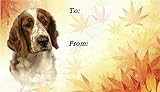 Welsh Springer Spaniel Dog Gift Labels (42) - Self Adhesive