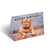AK Giftshop Dogue De Bordeaux Birthday Greeting Card - Any Name