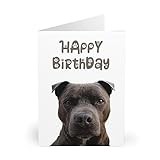 Charming Staffordshire Bull Terrier Birthday Card - Happy Birthday with Dog-Themed Paw Font - Adorable Dog Lover's Greeting Card