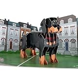 Cardology - Dachshund Pop Up Card | 3D Sausage Dog Birthday Card, Fathers Day, Mother's Day, Gotcha Day | Handmade
