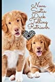 Nova Scotia Duck Tolling Retriever: Journal and Notebook - Composition Size (6"x9") With 120 Lined Pages, Perfect for Journal, Doodling, Sketching and Notes