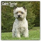 Cairn Terrier Calendar 2024 | Square Dog Breed Wall Calendar - 16 Month
