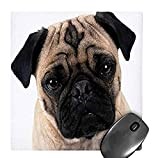 3dRose LLC 8 x 8 x 0.25 Inches Mouse Pad, Cute Mug of a Pug (mp_100990_1)