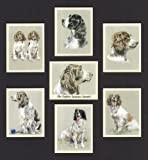 Artofwheels The English Springer Spaniel Dog Collectors Cards