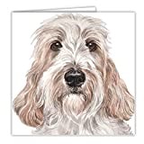 Grand Basset Griffon Vendeen thumbnail