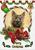 Cairn Terrier Dog Christmas Card White 'Merry Christmas' - Special Animal Xmas Card for Him Her from Pets Kids