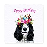 Cocker Spaniel Birthday Card - Black and White Cocker Spaniel Gift