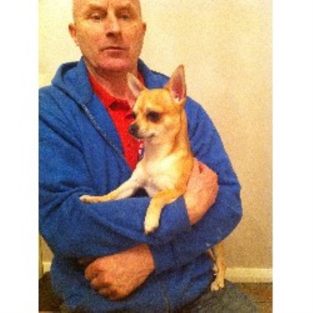 Dog Rescue North West Cheshire Dog Rescue North West Cheshire