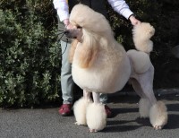 MULLACHBUI WITH PROVOST