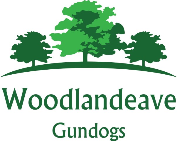 Woodlandeave Gundogs
