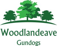 Woodlandeave Gundogs Labrador Retriever breeder