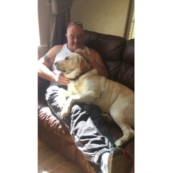 Dog Rescue Aberdeenshire Uk Dog Rescue Aberdeenshire Uk