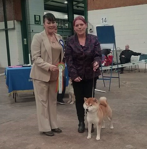 Walkers Dog Rescue Lincolnshire Walkers Dog Rescue Lincolnshire