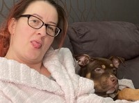 Really Rolo??? ?? American Bulldog for sale/adoption