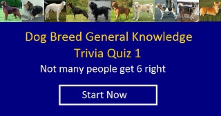 General Knowledge Trivia 1