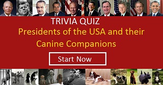 US Presidents and their Dogs