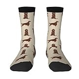 qrESONES Printed Socks Compression Socks Casual Adult Socks Sports Socks Crew Socks,Irish Setter Dog Breed Pet Pattern Gifts For Irish Setters,3,One Size