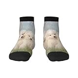 BeNtli Crew Socks, Compression Socks Casual Novelty Sports Socks 30CM Long For Unisex Samoyed Puppies White Dogs Family Small Samoyed