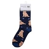 Animal Crackers Ladies Socks (Golden Retriever)