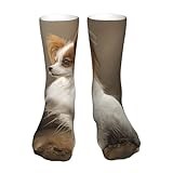 Men Women Socks Papillon Dog Ladies Socks Breathable Sport Sock Soft Work Socks, For Baseball, Basketball, 40Cm