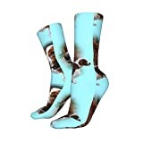 Trainer Socks Welsh Springer Spaniel Walking Socks Anti-Slip Men’S Socks Unisex Office Socks For Baseball Climbing Camping 40Cm