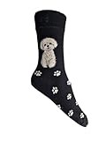 Hazy Blue Dog Lover Novelty Multi Breed Paw Print Pet Ladies Socks Bamboo Blend Size4-8 (UK, Numeric, 4, 8, Regular, Regular, Maltese Black)
