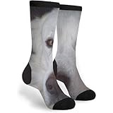 Men Crew Socks Great Pyrenees Socks Breathable Casual Socks Ventilation Running Socks For Trekking Outdoor Winte
