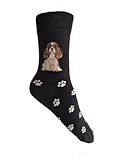 Hazy Blue Dog Lover Novelty Multi Breed Paw Print Pet Ladies Socks Bamboo Blend Size4-8 (UK, Numeric, 4, 8, Regular, Regular, King Charles Cavalier Black)