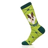 Fancy Colorful Cotton Comfy Novelty Funny Dress Socks Unisex, DOG Patterned, Rat Terrier, Large