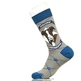 Fancy Colorful Cotton Comfy Novelty Funny Dress Socks Unisex, DOG Patterned, Italian Greyhound, Small