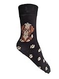 Hazy Blue Dog Lover Novelty Multi Breed Paw Print Pet Ladies Socks Bamboo Blend Size4-8 (UK, Numeric, 4, 8, Regular, Regular, Shih Tzu Black)