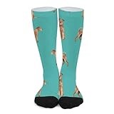 Novelty Crew Socks,Irish Terrier Dog Breed Casual Funny Dress Socks Mid Calf Sport Athletic Socks For Women Men