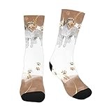 Crew Socks 40cm Wirehaired Pointing Griffon Dog Pattern Winter Socks Cool Crazy Work Socks Multi Coloured Golf Socks For Teenager, Christmas, Aldult