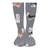 ODHHGDF Crew Athletic Socks Dandie Dinmont Terrier Dog Sport Socks Soft Crew Socks Casual Calf Socks For Sport Travel Work 50cm