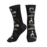 Athletic Socks Bernese Mountain Dog, Socks Soft Men’S Socks Anti Sweat Running Socks For Outdoor Walking Work 40Cm